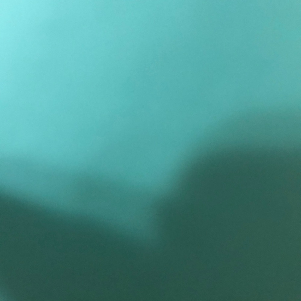 ⚠️NOT FOR SALE⚠️